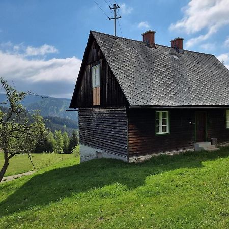 Zankl Villa Lavamünd Exterior foto