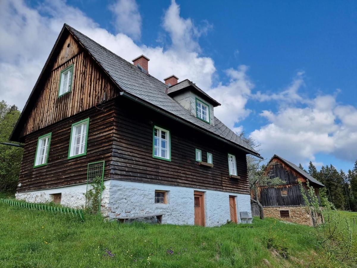 Zankl Villa Lavamünd Exterior foto