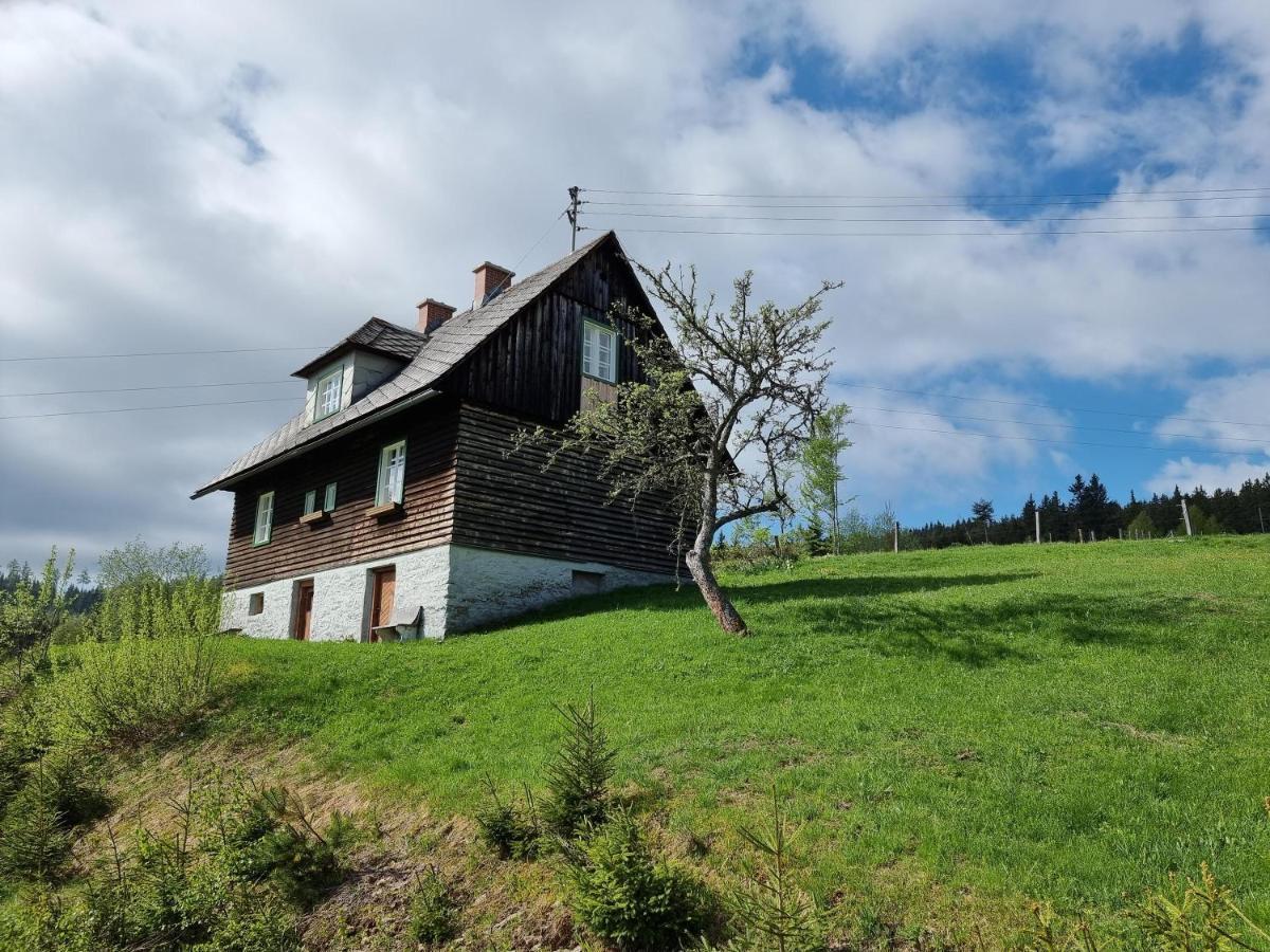 Zankl Villa Lavamünd Exterior foto